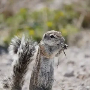 몸캠피싱대응 시 대화하면 안 되는 이유와 위험성