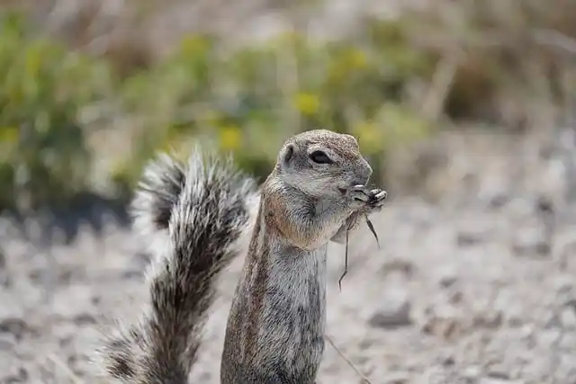 몸캠피싱대응 시 대화하면 안 되는 이유와 위험성